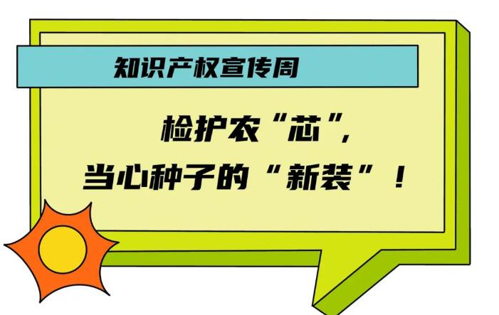 漫画丨检护农 “芯” ，当心种子的 “新装”！