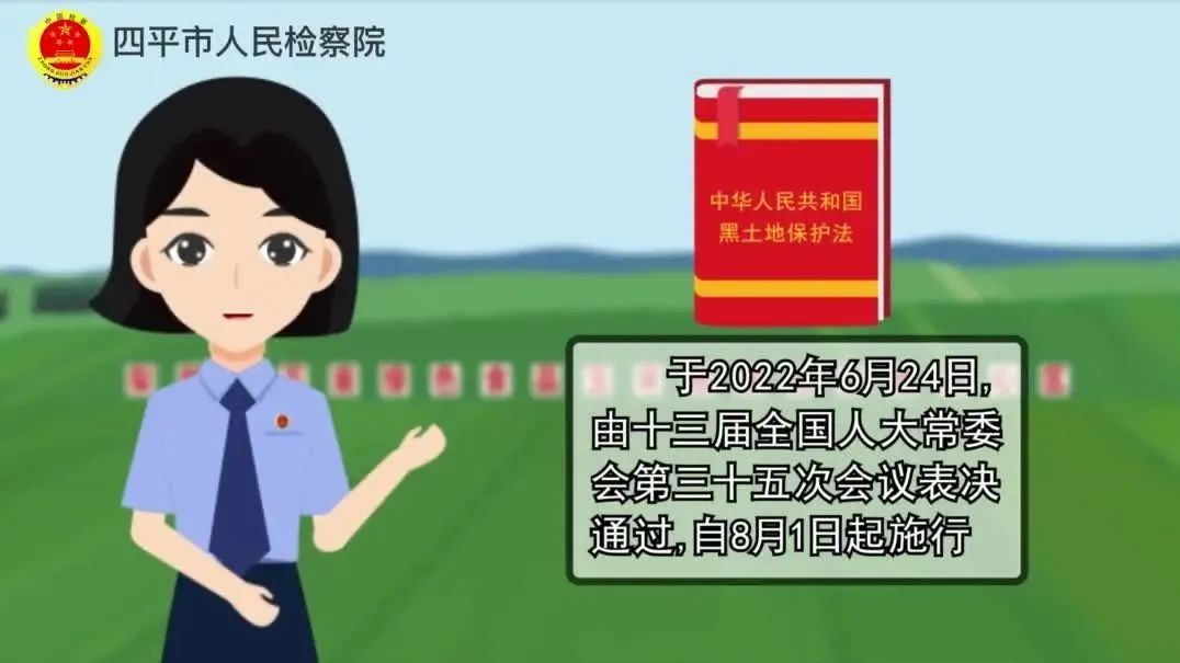 视频丨黑土“熊猫”共同守护，牢牢端住中国饭碗