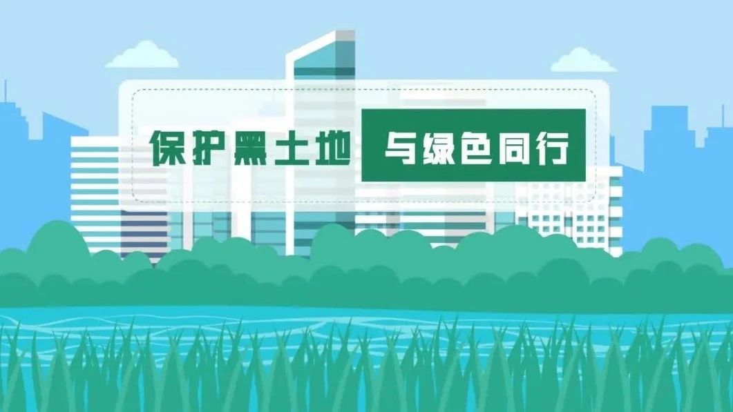 吉林省黑土地保护日 | 保护黑土地 与绿色同行