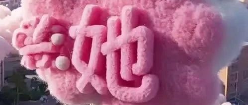 检察的“她”