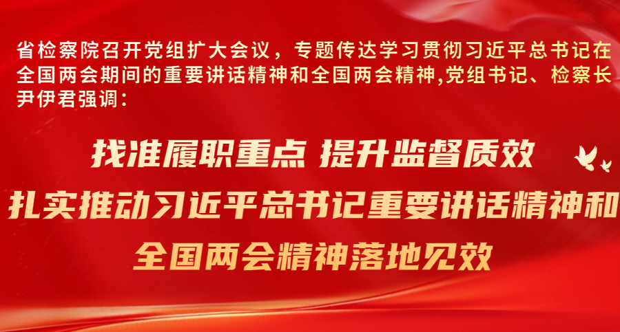 找准履职重点 提升监督质效 扎实推动习近平总书记重要讲话精神和全国两会精神落地见效