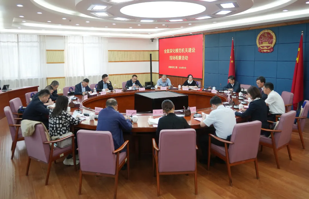 在以高质量党建促进高质量发展中展现新能力新担当新作为
